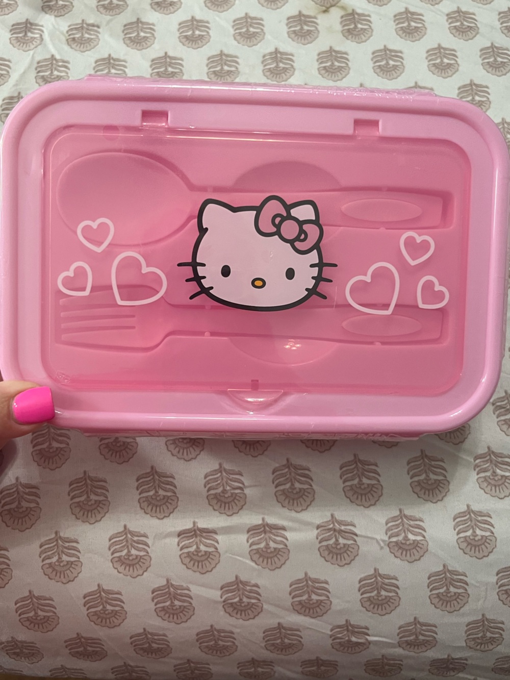 Hello Kitty Pink Snack & Utensil Case